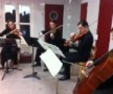 Dixie String